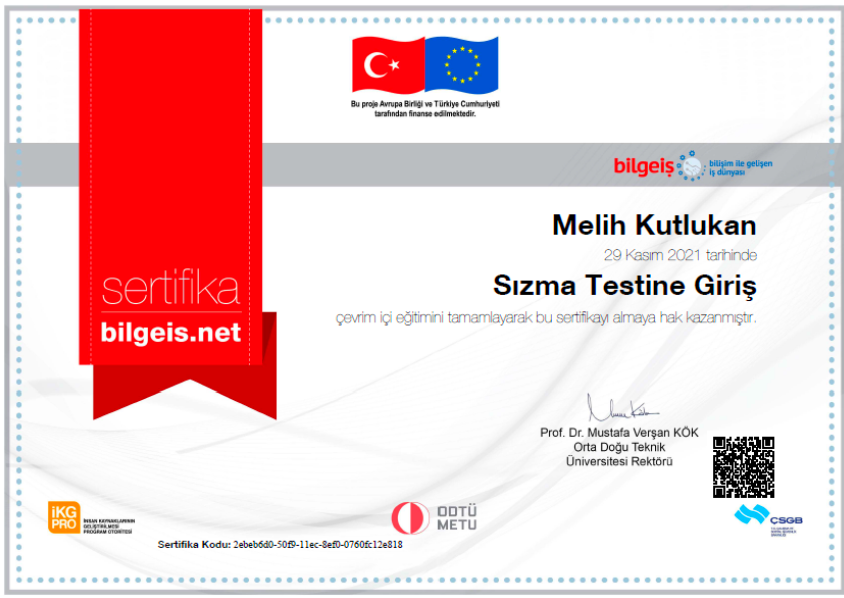 Sızma Testine Giriş